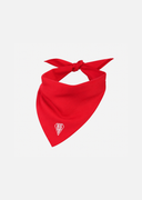 Foulard Biarritz Olympique