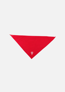 Foulard Biarritz Olympique